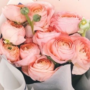 Meet your Posher, Nataliya